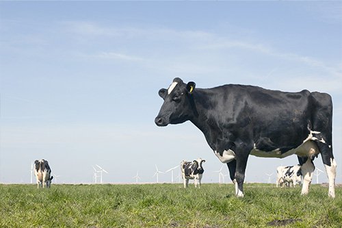 ISS AGRI